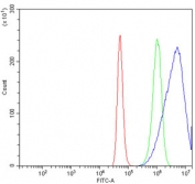 Flow cytometry testing of human a431 cells with GHITM antibody at 1ug/million cells (blocked with goat sera); Red=cells alone, Green=isotype control, Blue= GHITM antibody.