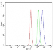 Flow cytometry testing of mouse RAW264.7 cells with GNB3 antibody at 1ug/million cells (blocked with goat sera); Red=cells alone, Green=isotype control, Blue= GNB3 antibody.