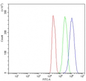 Flow cytometry testing of rat C6 cells with GNB3 antibody at 1ug/million cells (blocked with goat sera); Red=cells alone, Green=isotype control, Blue= GNB3 antibody.