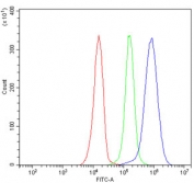 Flow cytometry testing of human JK-1 cells with Golgin 97 antibody at 1ug/million cells (blocked with goat sera); Red=cells alone, Green=isotype control, Blue= Golgin 97 antibody.