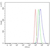 Flow cytometry testing of human PC-3 cells with HES5 antibody at 1ug/million cells (blocked with goat sera); Red=cells alone, Green=isotype control, Blue= HES5 antibody.