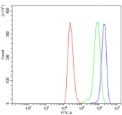 Flow cytometry testing of human ThP-1 cells with GRPEL1 antibody at 1ug/million cells (blocked with goat sera); Red=cells alone, Green=isotype control, Blue= GRPEL1 antibody.