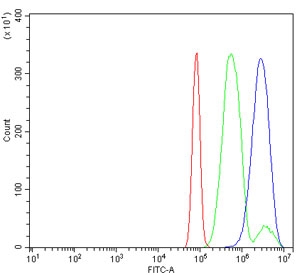 Flow cytometry testing of rat RH35 cells with MEK2 antibody at 1ug/million cells (blocked with goat sera); Red=cells alone, Green=isotype control, Blue= MEK2 antibody.~