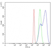 Flow cytometry testing of human HeLa cells with Mutated in Colorectal Cancers antibody at 1ug/million cells (blocked with goat sera); Red=cells alone, Green=isotype control, Blue= Mutated in Colorectal Cancers antibody.