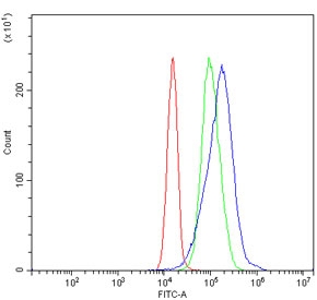 Flow cytometry testing of human JK-1 cells with MAT II beta antibody at 1ug/million cells (blocked with goat sera); Red=cells alone, Green=isotype control, Blue= MAT II beta antibody.~