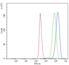 Flow cytometry testing of human ThP-1 cells with MYC antibody at 1ug/million cells (blocked with goat sera); Red=cells alone, Green=isotype control, Blue= MYC antibody.~