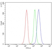 Flow cytometry testing of human JK-1 cells with NUP210 antibody at 1ug/million cells (blocked with goat sera); Red=cells alone, Green=isotype control, Blue= NUP210 antibody.