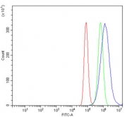 Flow cytometry testing of human A549 cells with Myomegalin antibody at 1ug/million cells (blocked with goat sera); Red=cells alone, Green=isotype control, Blue= Myomegalin antibody.