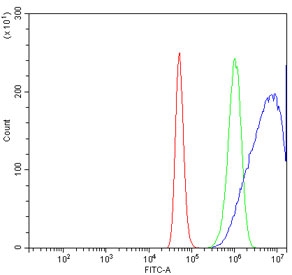 Flow cytometry testing of human A431 cells with PDLIM7 antibody at 1ug/million cells (blocked with goat sera); Red=cells alone, Green=isotype control, Blue= PDLIM7 antibody.