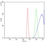 Flow cytometry testing of human A431 cells with PDLIM7 antibody at 1ug/million cells (blocked with goat sera); Red=cells alone, Green=isotype control, Blue= PDLIM7 antibody.