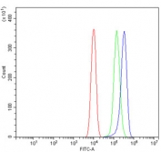 Flow cytometry testing of mouse RAW264.7 cells with PPP2R1A antibody at 1ug/million cells (blocked with goat sera); Red=cells alone, Green=isotype control, Blue= PPP2R1A antibody.