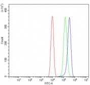 Flow cytometry testing of mouse RAW264.7 cells with PPP2R1A antibody at 1ug/million cells (blocked with goat sera); Red=cells alone, Green=isotype control, Blue= PPP2R1A antibody.