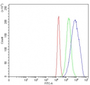 Flow cytometry testing of human 293T cells with PPP2R1A antibody at 1ug/million cells (blocked with goat sera); Red=cells alone, Green=isotype control, Blue= PPP2R1A antibody.