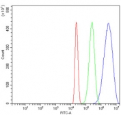 Flow cytometry testing of human HL60 cells with RAE1 antibody at 1ug/million cells (blocked with goat sera); Red=cells alone, Green=isotype control, Blue= RAE1 antibody.