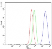 Flow cytometry testing of human HepG2 cells with Dexras1 antibody at 1ug/million cells (blocked with goat sera); Red=cells alone, Green=isotype control, Blue= Dexras1 antibody.