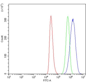 Flow cytometry testing of human ThP-1 cells with RNF8 antibody at 1ug/million cells (blocked with goat sera); Red=cells alone, Green=isotype control, Blue= RNF8 antibody.~