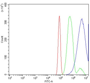 Flow cytometry testing of rat RH35 cells with RPL23 antibody at 1ug/million cells (blocked with goat sera); Red=cells alone, Green=isotype control, Blue= RPL23 antibody.