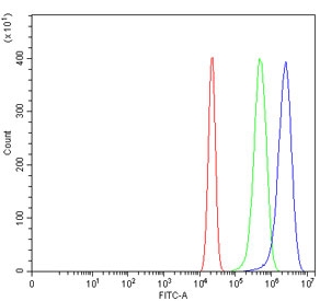 Flow cytometry testing of human U-2 OS cells with SBNO1 antibody at 1ug/million cells (blocked with goat sera); Red=cells alone, Green=isotype control, Blue= SBNO1 antibody.