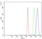 Flow cytometry testing of human U-2 OS cells with SBNO1 antibody at 1ug/million cells (blocked with goat sera); Red=cells alone, Green=isotype control, Blue= SBNO1 antibody.