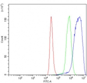 Flow cytometry testing of human ThP-1 cells with SNIP1 antibody at 1ug/million cells (blocked with goat sera); Red=cells alone, Green=isotype control, Blue= SNIP1 antibody.