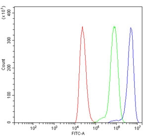 Flow cytometry testing of human ThP-1 cells with Spartin antibody at 1ug/million cells (blocked with goat sera); Red=cells alone, Green=isotype control, Blue= Spartin antibody.~