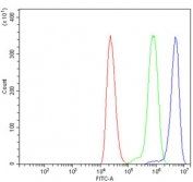 Flow cytometry testing of human ThP-1 cells with Spartin antibody at 1ug/million cells (blocked with goat sera); Red=cells alone, Green=isotype control, Blue= Spartin antibody.