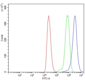 Flow cytometry testing of human ThP-1 cells with TBCA antibody at 1ug/million cells (blocked with goat sera); Red=cells alone, Green=isotype control, Blue= TBCA antibody.~