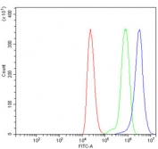 Flow cytometry testing of human ThP-1 cells with TBCA antibody at 1ug/million cells (blocked with goat sera); Red=cells alone, Green=isotype control, Blue= TBCA antibody.