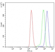 Flow cytometry testing of human ThP-1 cells with UBAP2L antibody at 1ug/million cells (blocked with goat sera); Red=cells alone, Green=isotype control, Blue= UBAP2L antibody.