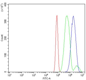Flow cytometry testing of rat RH35 cells with Huntingtin interacting protein 2 antibody at 1ug/million cells (blocked with goat sera); Red=cells alone, Green=isotype control, Blue= Huntingtin interacting protein 2 antibody.~