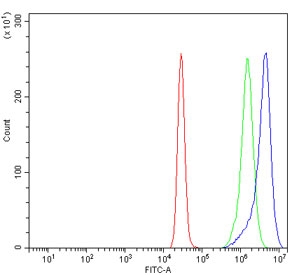 Flow cytometry testing of human K562 cells with Diaphanous Homolog 1 antibody at 1ug/million cells (blocked with goat sera); Red=cells alone, Green=isotype control, Blue= Diaphanous Homolog 1 antibody.