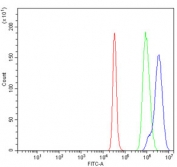 Flow cytometry testing of human K562 cells with DNA Ligase 3 antibody at 1ug/million cells (blocked with goat sera); Red=cells alone, Green=isotype control, Blue= DNA Ligase III antibody.