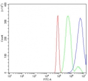 Flow cytometry testing of rat RH35 cells with IRBIT antibody at 1ug/million cells (blocked with goat sera); Red=cells alone, Green=isotype control, Blue= IRBIT antibody.