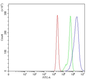 Flow cytometry testing of human Caco-2 cells with BRSK2 antibody at 1ug/million cells (blocked with goat sera); Red=cells alone, Green=isotype control, Blue= BRSK2 antibody.~