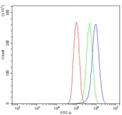 Flow cytometry testing of human PC-3 cells with GIT2 antibody at 1ug/million cells (blocked with goat sera); Red=cells alone, Green=isotype control, Blue= GIT2 antibody.