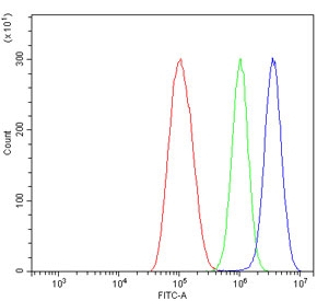 Flow cytometry testing of human ThP-1 cells with IRF7 antibody at 1ug/million cells (blocked with goat sera); Red=cells alone, Green=isotype control, Blue= IRF7 antibody.~