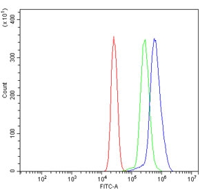 Flow cytometry testing of human U937 cells with Pyrin antibody at 1ug/million cells (blocked with goat sera); Red=cells alone, Green=isotype control, Blue= Pyrin antibody.