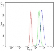 Flow cytometry testing of human U937 cells with Pyrin antibody at 1ug/million cells (blocked with goat sera); Red=cells alone, Green=isotype control, Blue= Pyrin antibody.