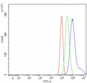 Flow cytometry testing of human PC-3 cells with MLXIP antibody at 1ug/million cells (blocked with goat sera); Red=cells alone, Green=isotype control, Blue= MLXIP antibody.