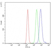 Flow cytometry testing of human JK-1 cells with PLEKHA5 antibody at 1ug/million cells (blocked with goat sera); Red=cells alone, Green=isotype control, Blue= PLEKHA5 antibody.