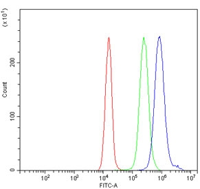 Flow cytometry testing of human JK-1 cells with PLEKHA5 antibody at 1ug/million cells (blocked with goat sera); Red=cells alone, Green=isotype control, Blue= PLEKHA5 antibody.