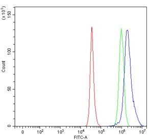 Flow cytometry testing of human HepG2 cells with RPL5 antibody at 1ug/million cells (blocked with goat sera); Red=cells alone, Green=isotype control, Blue= RPL5 antibody.~