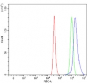 Flow cytometry testing of human HepG2 cells with RPL5 antibody at 1ug/million cells (blocked with goat sera); Red=cells alone, Green=isotype control, Blue= RPL5 antibody.