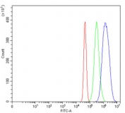 Flow cytometry testing of mouse Neuro-2a cells with Splicing factor 1 antibody at 1ug/million cells (blocked with goat sera); Red=cells alone, Green=isotype control, Blue= Splicing factor 1 antibody.