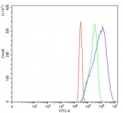 Flow cytometry testing of human A431 cells with SF1 antibody at 1ug/million cells (blocked with goat sera); Red=cells alone, Green=isotype control, Blue= SF1 antibody.