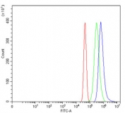 Flow cytometry testing of mouse Neuro-2a cells with SF1 antibody at 1ug/million cells (blocked with goat sera); Red=cells alone, Green=isotype control, Blue= SF1 antibody.