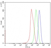 Flow cytometry testing of human HepG2 cells with HSPA9 antibody at 1ug/million cells (blocked with goat sera); Red=cells alone, Green=isotype control, Blue= HSPA9 antibody.