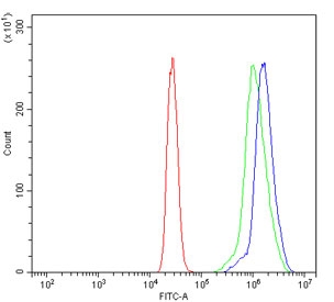 Flow cytometry testing of human U937 cells with GLS antibody at 1ug/million cells (blocked with goat sera); Red=cells alone, Green=isotype control, Blue= GLS antibody.