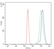 Flow cytometry testing of human U937 cells with GLS antibody at 1ug/million cells (blocked with goat sera); Red=cells alone, Green=isotype control, Blue= GLS antibody.