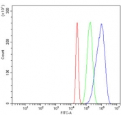 Flow cytometry testing of human HL60 cells with MCM6 antibody at 1ug/million cells (blocked with goat sera); Red=cells alone, Green=isotype control, Blue= MCM6 antibody.